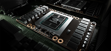 NVIDIA / AMD